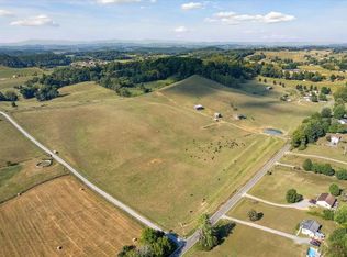 Tbd Rhea Valley Rd, Meadowview, VA 24361