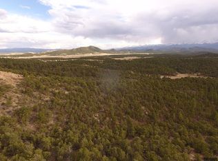 799 Kevin Dr, Cotopaxi, CO 81223