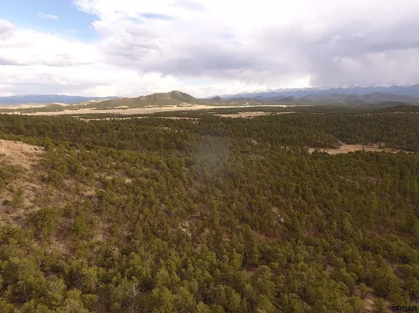 799 Kevin Dr, Cotopaxi, CO 81223