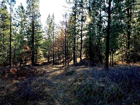 4th image of 0 E Eagles Nest Ln
