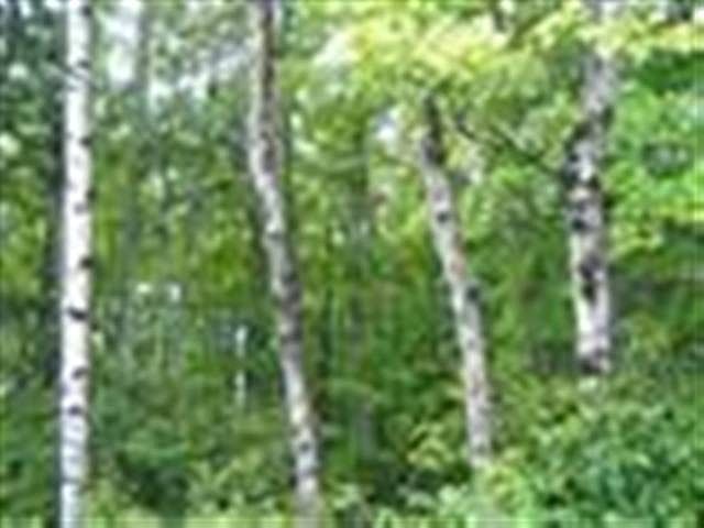 2nd image of Tbd Packer Dr #A
