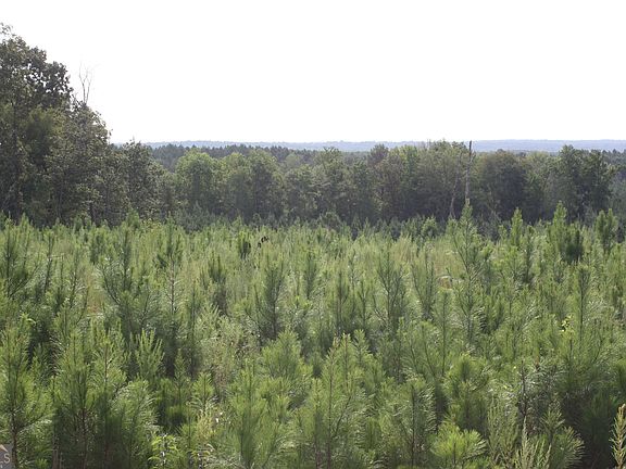 3rd image of 0 Balerma Church Rd Tract 1