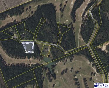 Rifle Rd, Greeleyville, SC, 29056