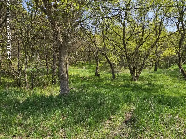 0 Love Hwy, Bellevue, MI 49021