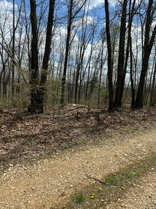 (Undisclosed Address), Seymour, MO, 65746