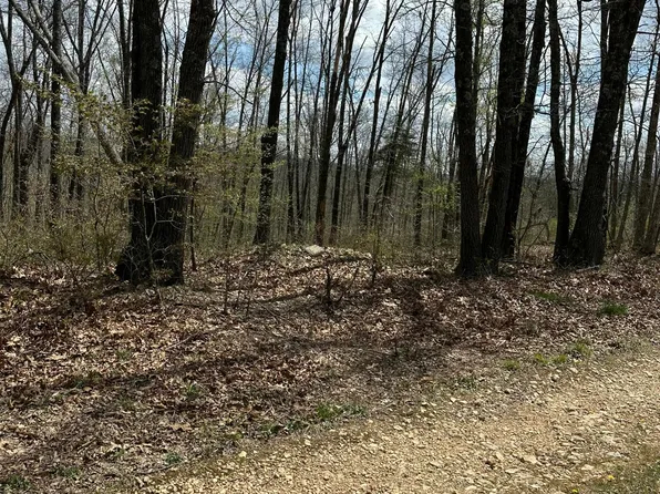 (undisclosed Address), Seymour, MO 65746