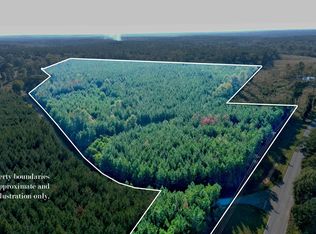 0 Thompson Ln SE, Ruth, MS 39662