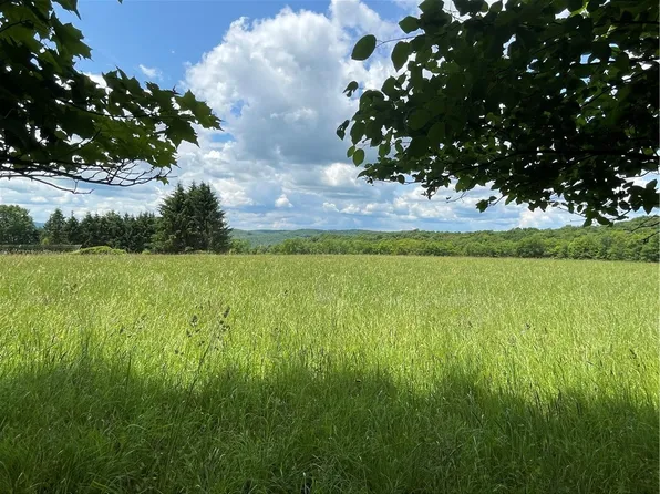 0 Truax Rd #10, Hobart, NY 13788