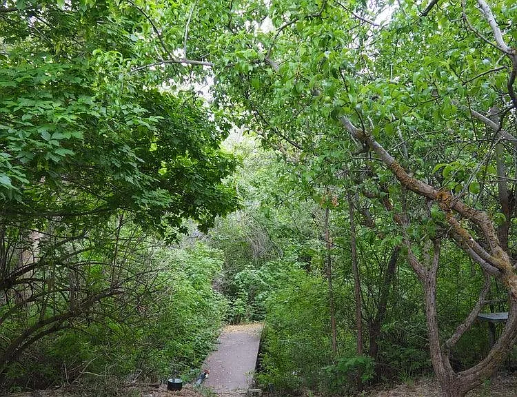 Canyon Rd — Photo 14