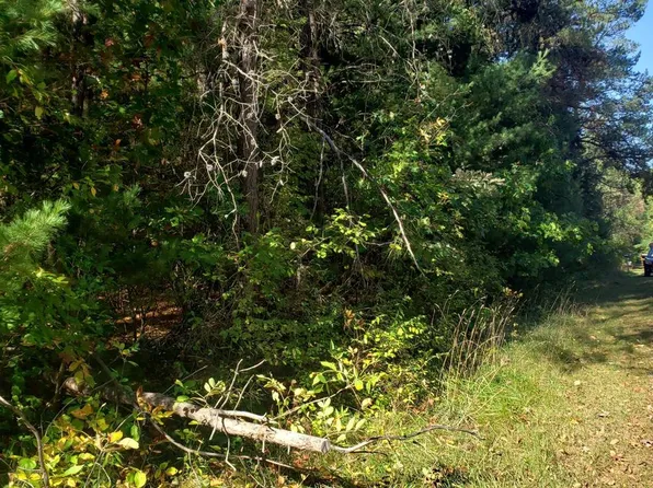 Lot 63, 64, 65 Fur Drive #63, 64, 65, Wisconsin Dells, WI 53965
