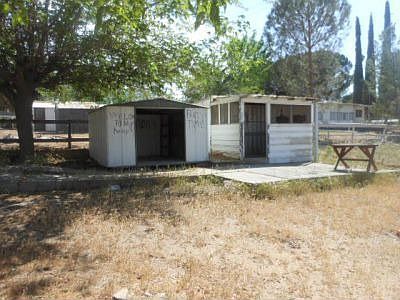 sheds in back yard