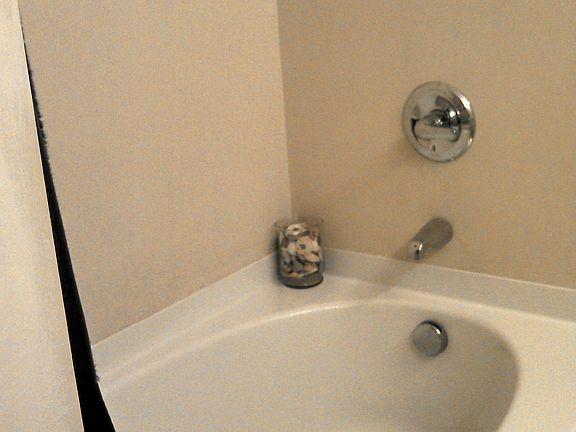 Garden Tub in Master Bath