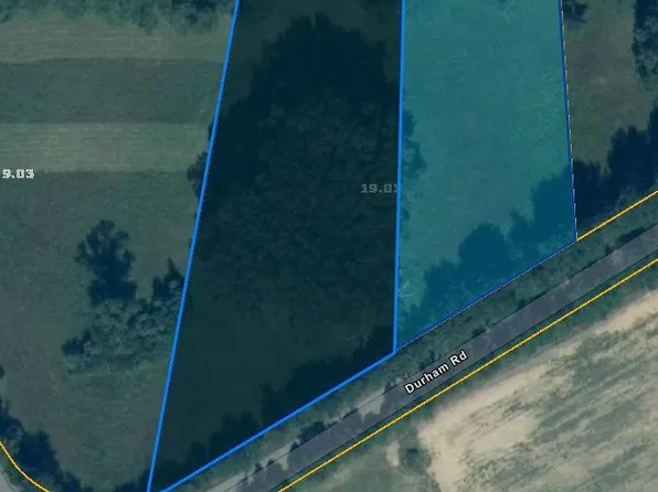 0 Bull Durham Rd, Buchanan, TN 38222