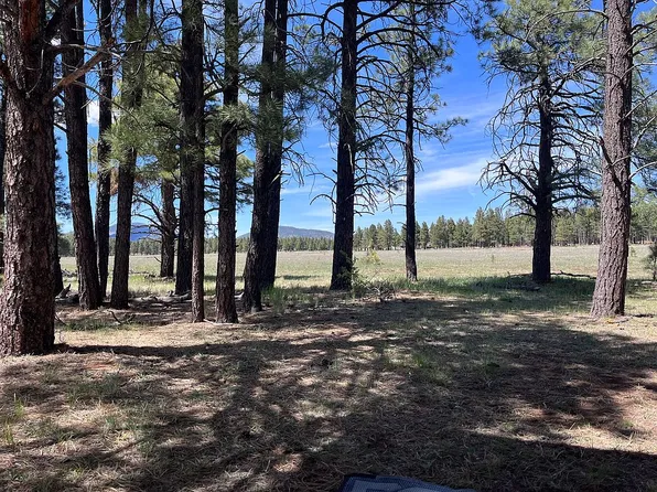 14640 E Keith Dr, Parks, AZ 86018