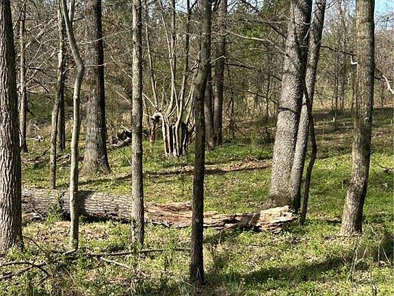 4th image of 0 Browning Rd