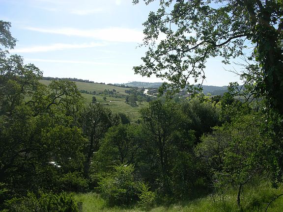5th image of 3428 Mesa Verdes Ct