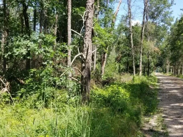PARCEL 4 S Grove St, Baldwin, MI 49304