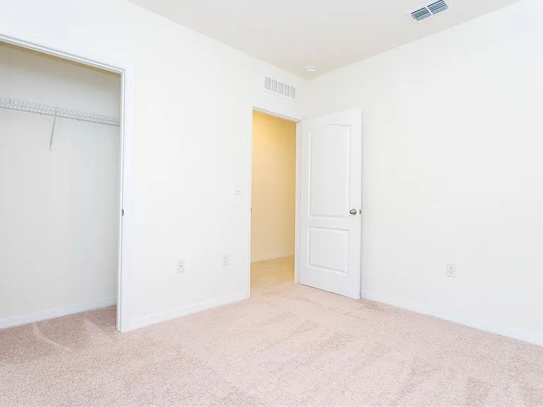 2847 Common Crane Ct — Photo 15