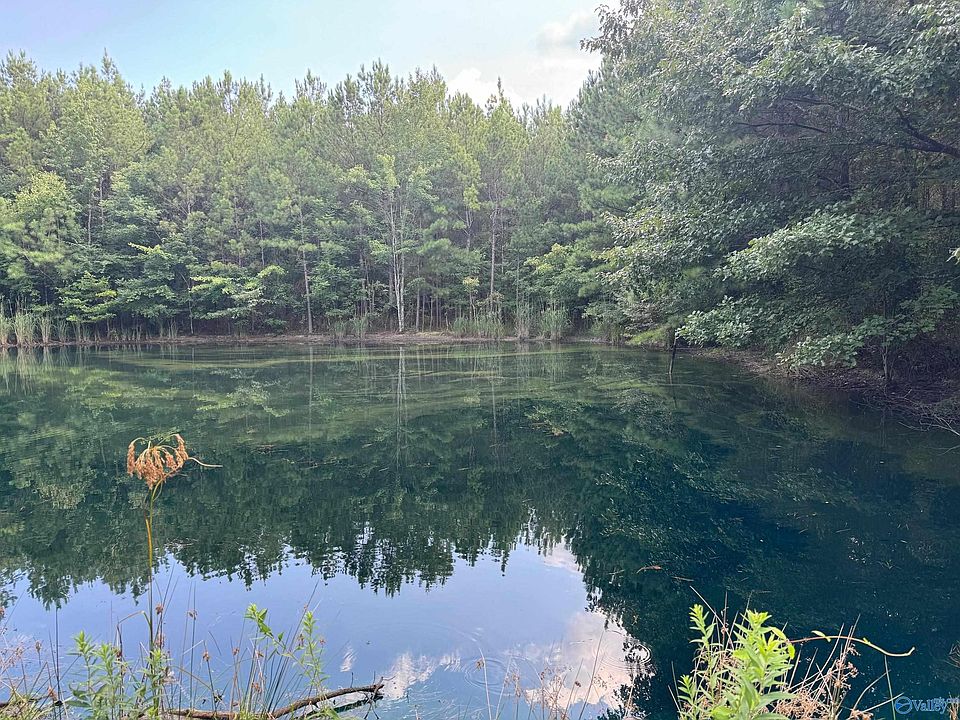 1st image of 2235 County Road 39
