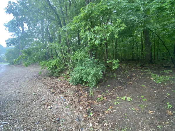Chestnut St, Dowagiac, MI 49047