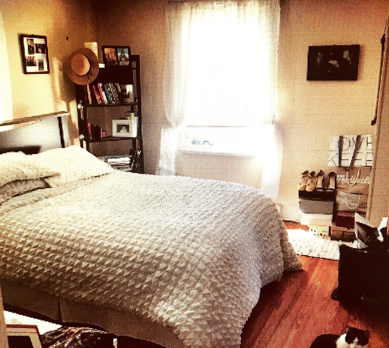 1 bed, 575 sqft, $1,375 — Photo 4
