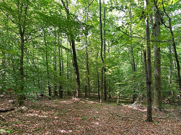 3rd image of 4 Hi Mar Ln #4