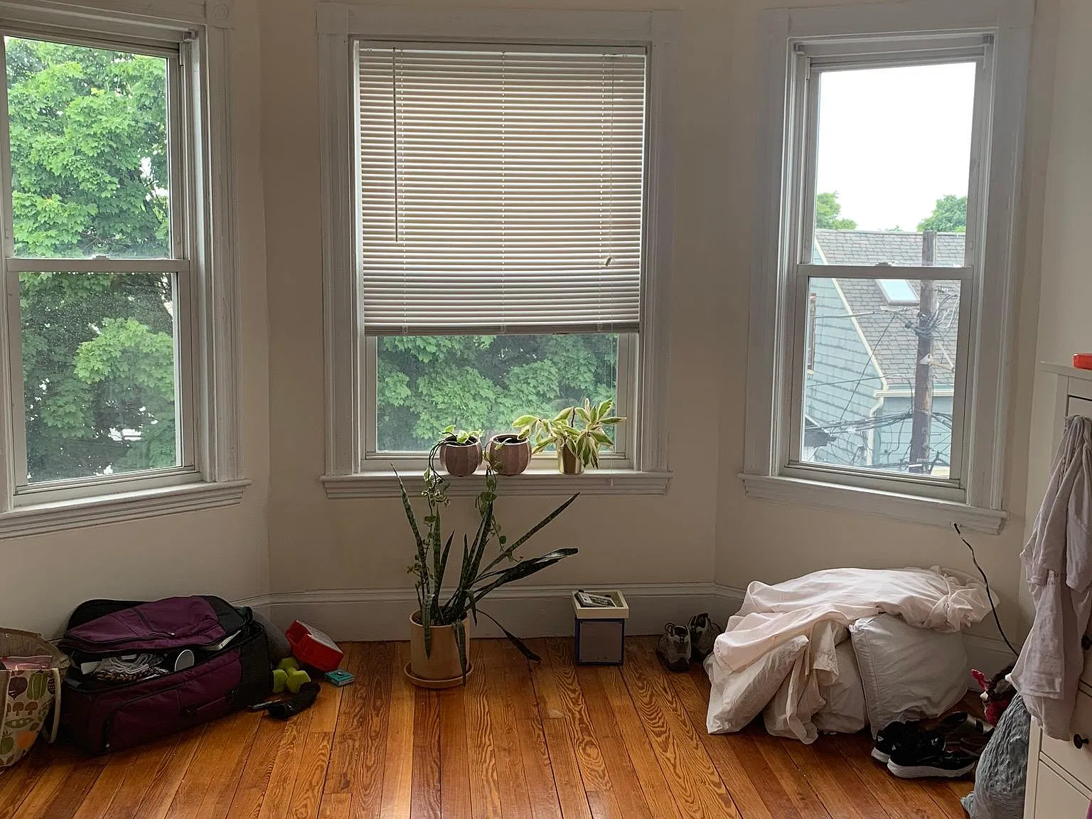 2 bed, 9999 sqft, $2,695 — Photo 3