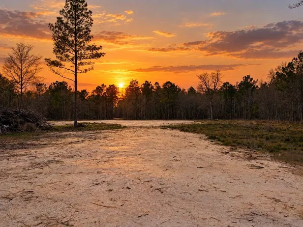 33606 State Highway 441, Holden, LA 70744