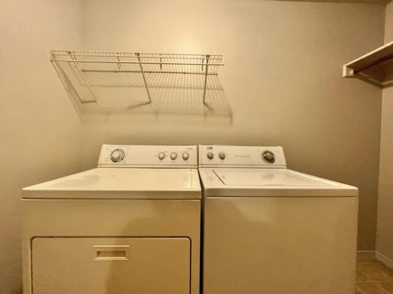 Tottenham - 7586 — Photo 13