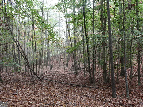 0 County Road 134, Woodland, AL 36280