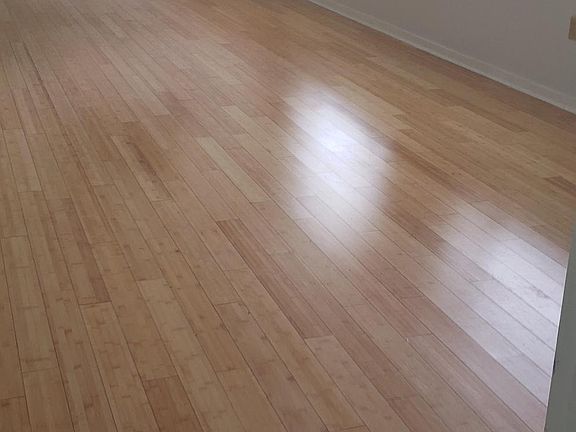 Bamboo in living room