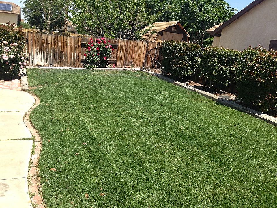 Side yard