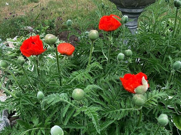 4th image of 21652 Ridge Rd