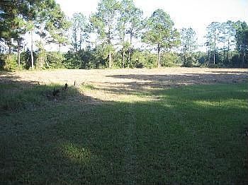 3rd image of 5444 County Road 209 S #B
