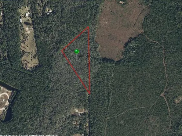 290 Bell Fountaine Ave, Pierson, FL 32180