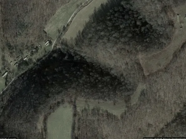 940 Wilmore Hollow Rd, Pleasant Shade, TN 37145