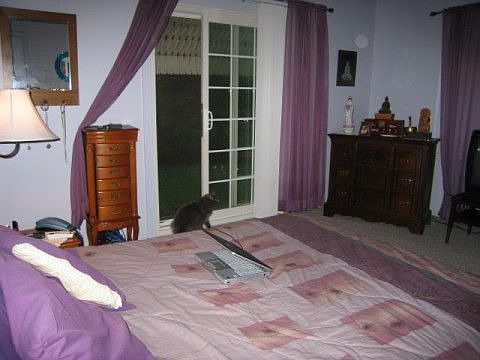 Patio doors in bedroom.