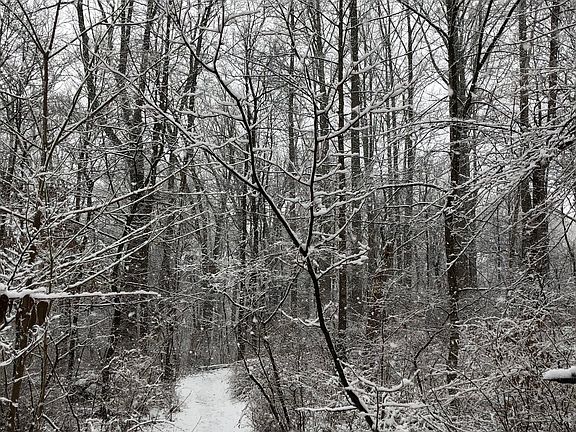 Imagine this..your back yard