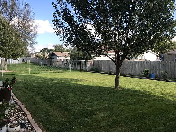 View of backyard