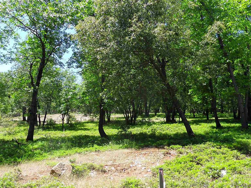 1st image of 17405 Deer Park
