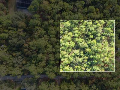 0 Wild Berry Ln, Tallahassee, FL, 32305