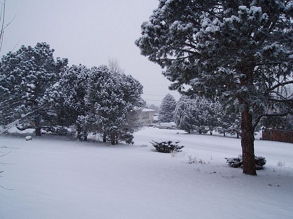 front yard winter