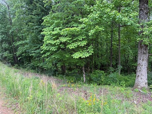 5th image of LOT 7D Meadow View Ln #123