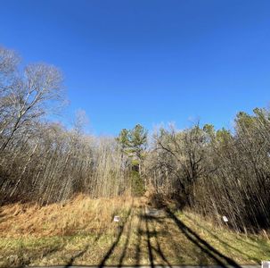 3462 Irvin Cobb Rd, Murray, KY, 42071