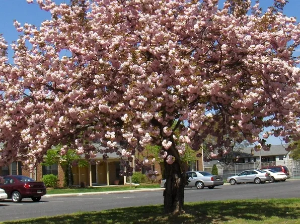 Millbridge Gardens