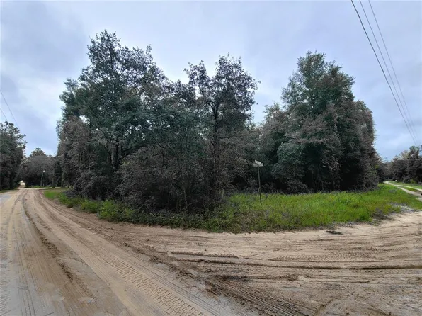 TBD NE 81ST TER DRIVE, BRONSON, FL 32621