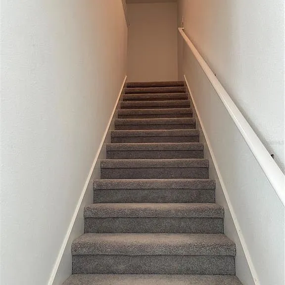32077 Powderpuff Mimosa Dr — Photo 11