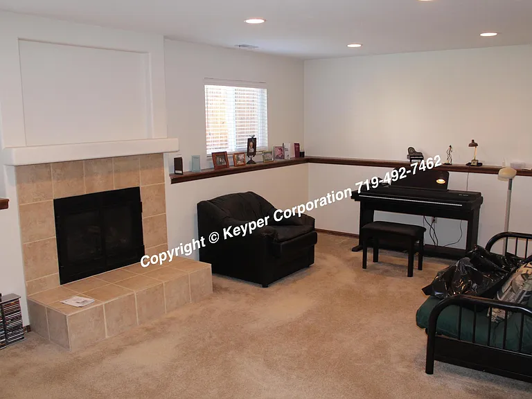 Lower level family room with gas fireplace
