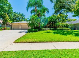 4502 Glenbrook Dr, Palm Harbor, FL 34683