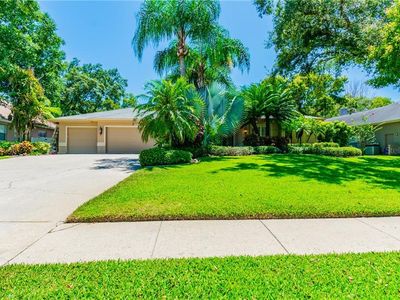 4502 Glenbrook Dr, Palm Harbor, FL, 34683